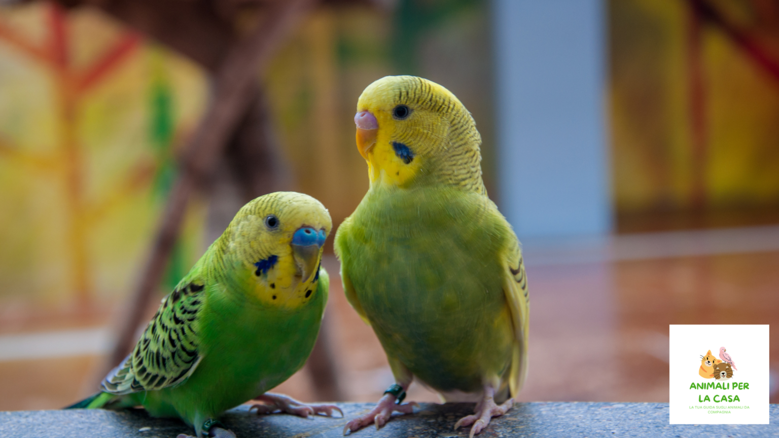 Scala Altalena Arcobaleno Per Pappagalli - Giocattolo In Legno 74cm - Foto 13